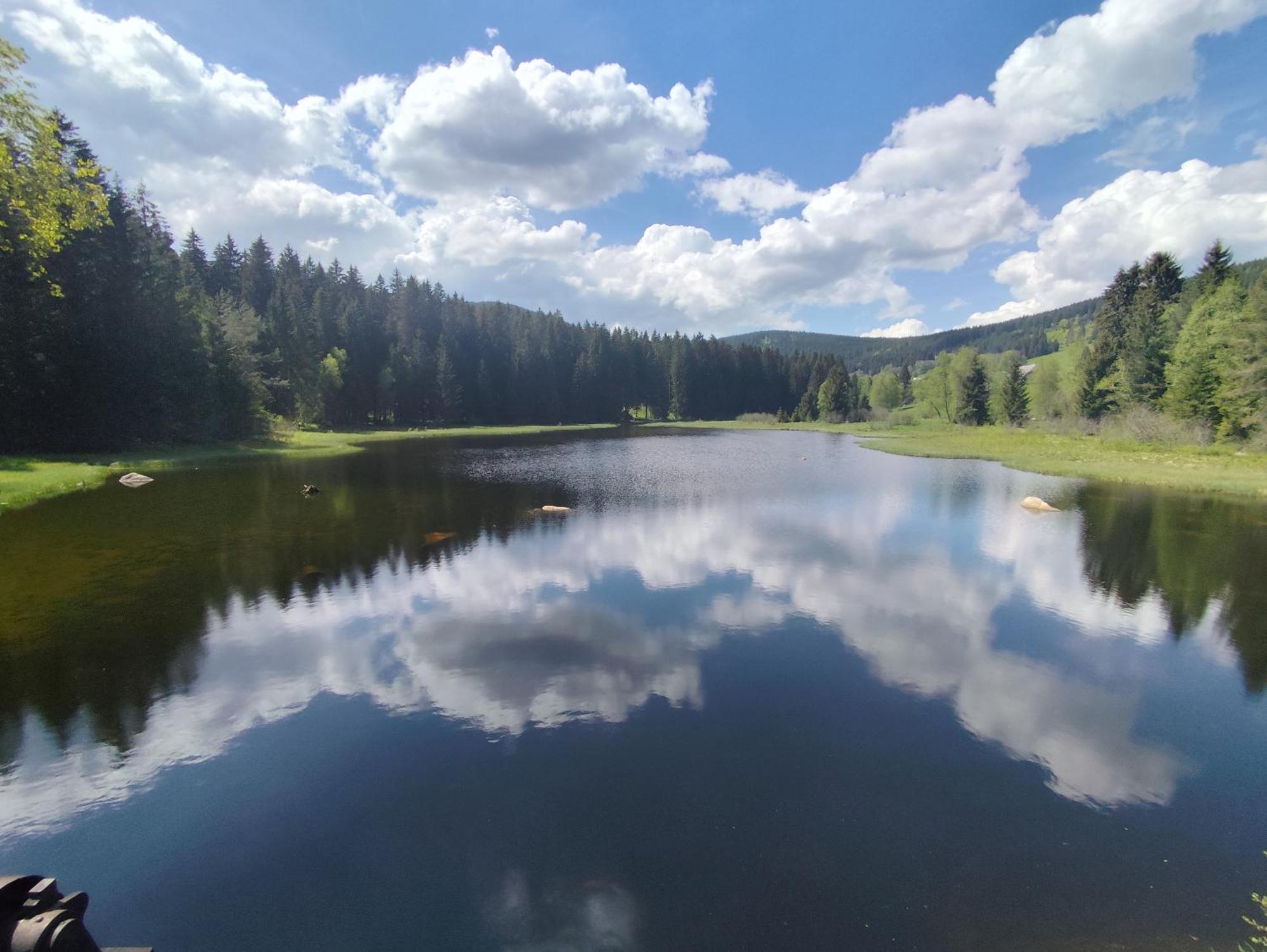 Blackforest Perla Apartament *