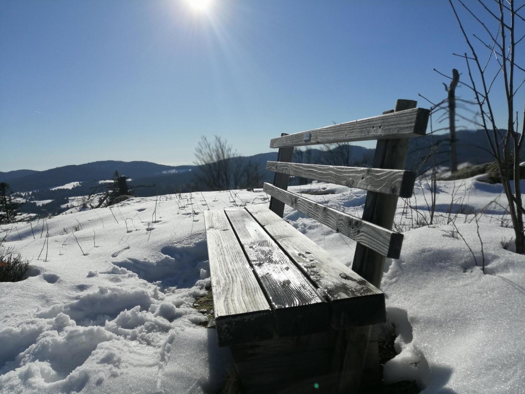 Appartement Blackforest Perla *