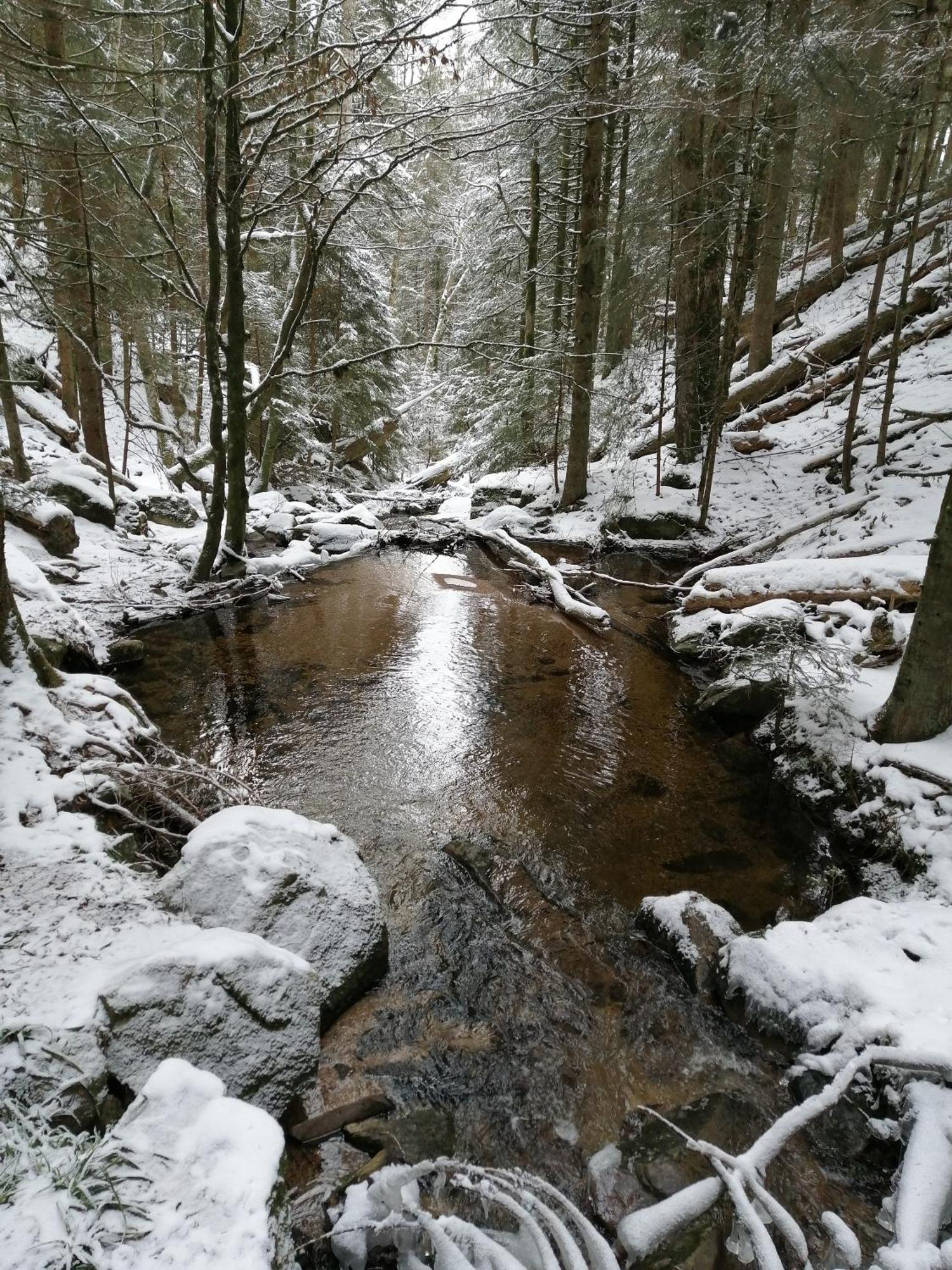Blackforest Perla Appartement Höchenschwand